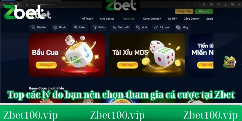 Top các lý do bạn nên chọn tham gia cá cược tại Zbet